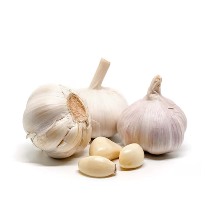 Garlic