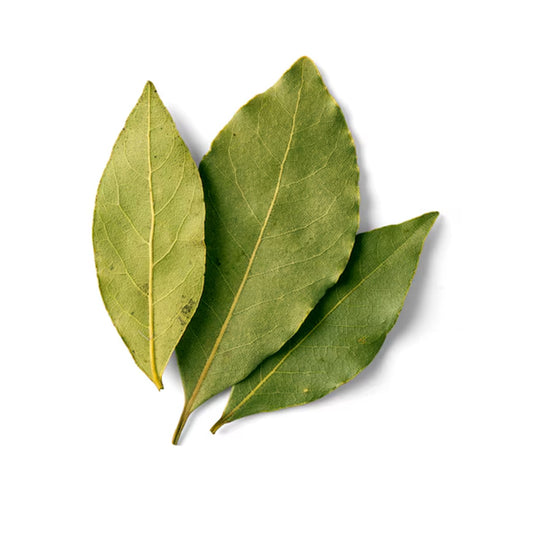 Bay leaf