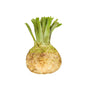 Celeriac