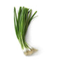Green Onion